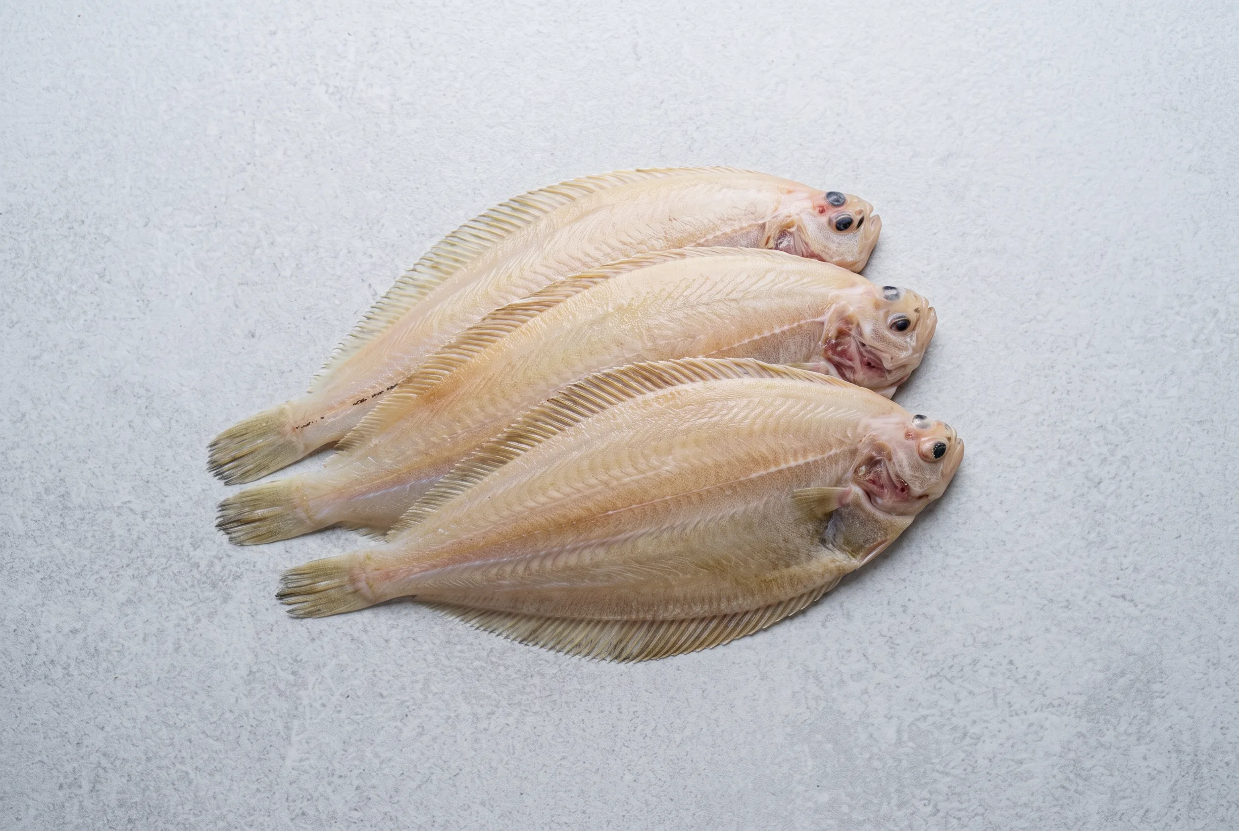 Sliptong